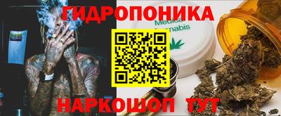 PSILOCYBIN Кинель
