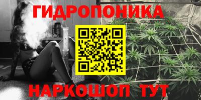 сатива Кимры