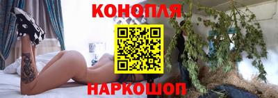 сатива Кимры