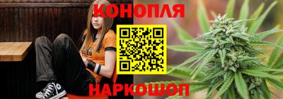 сатива Кимры
