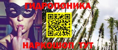 сатива Кимры