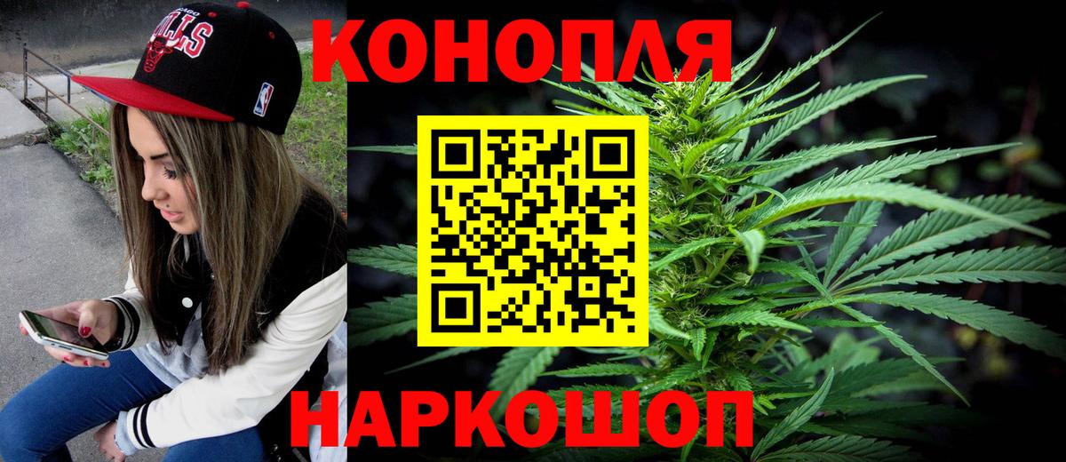Каннабис индика Королёв